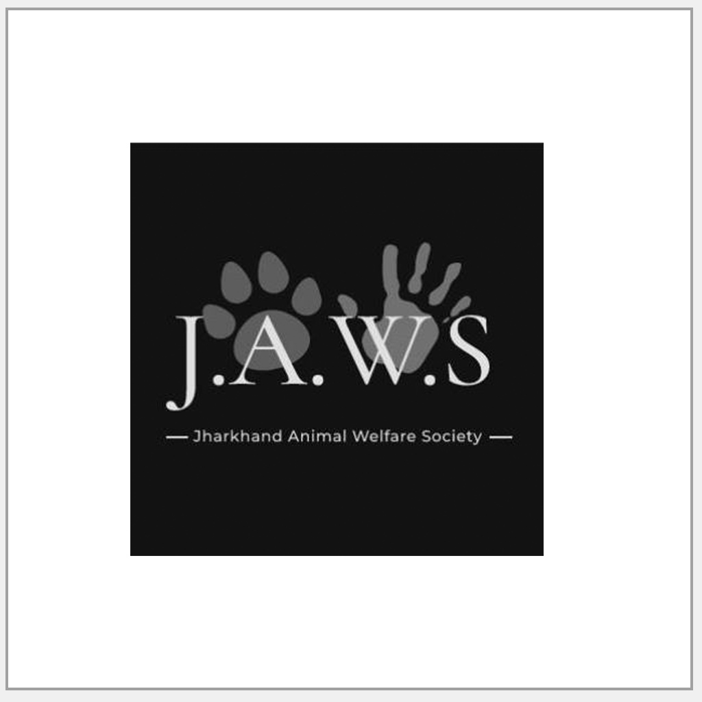 Jamshedpur Animal Welfare Society – JAWS | Dog Lover Vet Directory