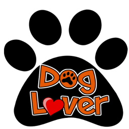 Dog lover india