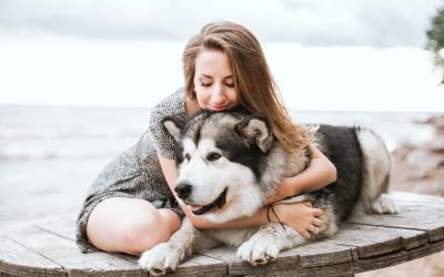 How to Choose a Dog Breed That Is Right for You?